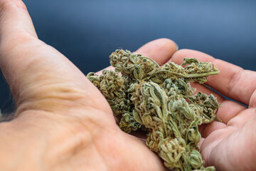 hand holding marijuana on a black background
concept of smoking and relaxing