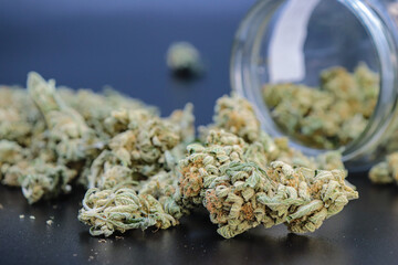 marijuana or weed flowers on black background