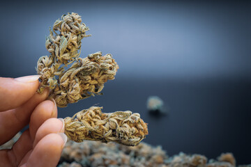 hand holding marijuana on a black background
concept of smoking and relaxing