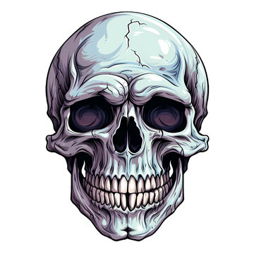 Halloween Skull 2D Illustration