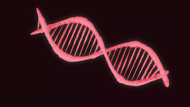 dna structure animation video, abstract background. DNA stand, dna helix model isolated on black background. 3d rendering and 4k hd video