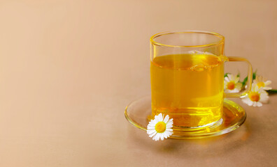 Herbal tea with chamomile flowers in a glass cup on with copy space. Phyto tea from chamomile flowers.