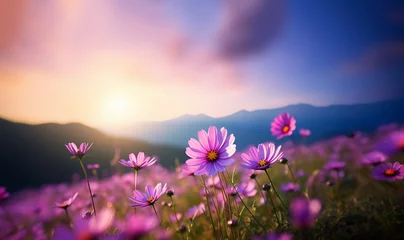 Foto auf Acrylglas Hell-pink beautiful colorful meadow of wild flowers floral background, landscape with purple pink flowers with sunset and blurred background. Soft pastel Magical nature copy space