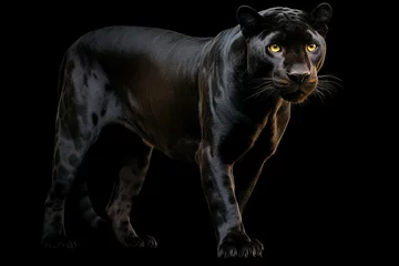 Fotobehang Stunning portrait of a black panther (black jaguar) on black background. Amazing Wildlife. Generative Ai © Shootdiem