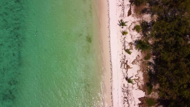 Drone footage of tropical island paradise. Surreal exotic beach, palm trees, sand and turquoise water. Perfect vacation destination with crystal water.
