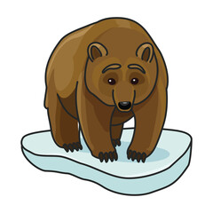Brown bear vector icon.Color vector icon isolated on white background brown bear.