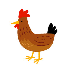 赤鶏の手描きイラスト