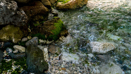 Waves rolling on the rocky sea beach, featuring the thriving seaweeds and algae