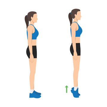 Woman doing tip toe pose move for reduce leg cellulite. Workout diagram about Calves reduction for slim leg. Flat vector illustration isolated on white background