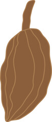 Illustration of Cocoa Fruit