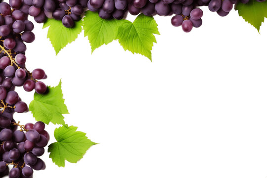 Isolated Purple Grapes Frame on a Transparent Background. Generative AI
