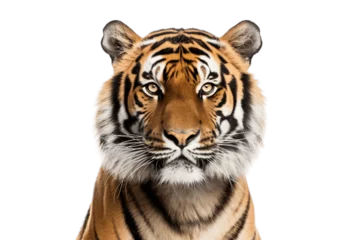 Zelfklevend Fotobehang Isolated Tiger Face Shot on a Transparent Background. Generative AI © Haider
