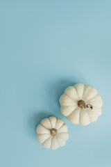 Beautiful decorative pumpkins on light blue background. Autumn fall season concept