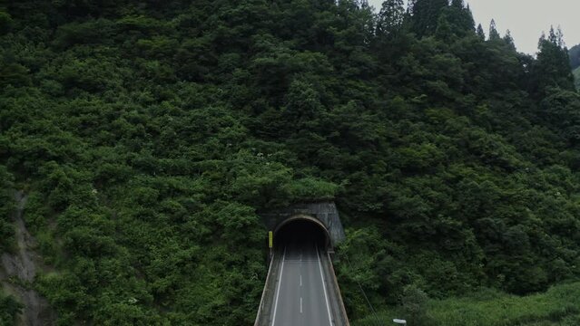 ドローン撮影：草木の緑の壁に囲われたトンネルを出入りする車たち