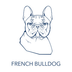 Vector illustration with French bulldog face. Dark silhouette on a white background. With space for your text. 