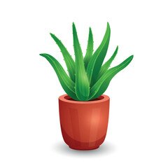 Aloe Vera plant in pot isolated on white background. Vector illustration in cartoon flat style. Aloe design concept