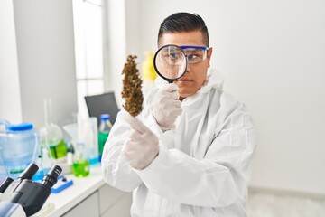 Young latin man scientist looking cannabis herb with loupe at laboratory