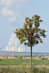 Kraftwerk Jänschwalde in Brandenburg © Karin Jähne