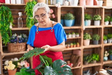 Fototapeta na wymiar Middle age grey-haired woman florist touching plant at florist