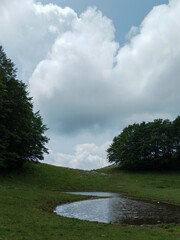 grass and blue sky
