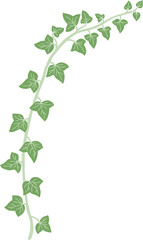 Simplicity ivy freehand drawing