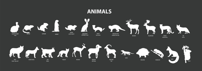 Animals silhouettes. set of animal silhouettes
