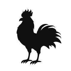 Rooster  black isolated on white background.
