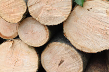 Fototapeta premium stack of wood