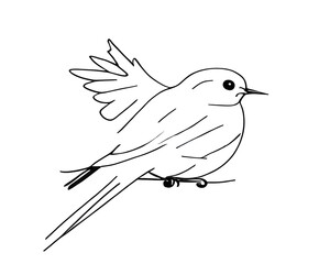 Sketch of a big bird on a branch