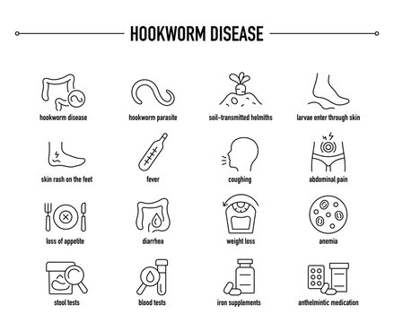 Hookworm Disease symptoms, diagnostic and treatment vector icon set. Line editable medical icons.