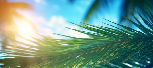 Obraz premium Abstract blur defocused background, toned gently blue, nature of tropical summer, rays of sun light