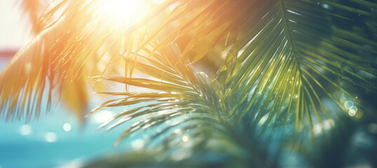 Fototapeta premium Abstract blur defocused background, toned gently blue, nature of tropical summer, rays of sun light