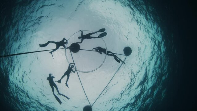 Freedivers work out in sea. Group of free divers train along the ropes in the open sea. View to the surface from depth