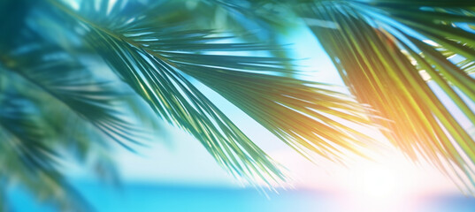 Obraz premium Abstract blur defocused background, toned gently blue, nature of tropical summer, rays of sun light