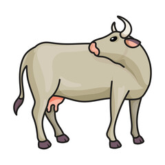 Cow of animal vector icon.Color vector icon isolated on white background cow of animal.