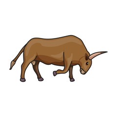 Cow of animal vector icon.Color vector icon isolated on white background cow of animal.
