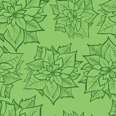 Poinsettia flower. Isolated vector for Christmas, New Year wrapping paper design. Leaf for winter holiday decoration