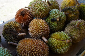 Naklejka na ściany i meble Durian is the name of a tropical plant originating from the Southeast Asian region, as well as the name of its edible fruit. This name is taken from the characteristics of the fruit skin which is hard