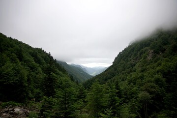 Fototapeta na wymiar Paysage Ariège nuage forêt montagne brouillard