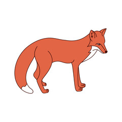 Fox flat minimalist style. Vector illustration