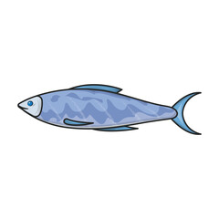 Sea fish vector icon.Color vector icon isolated on white background sea fish.
