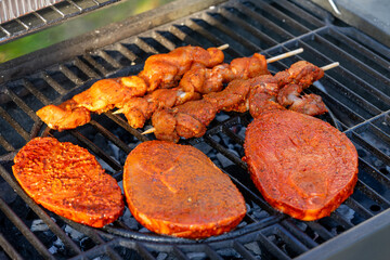 grilled meat on the barbecue
