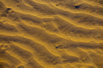 closeup sandy desert dune, beautiful natural sand background