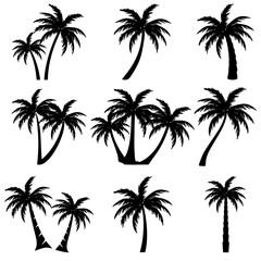Set of palm trees silhouettes