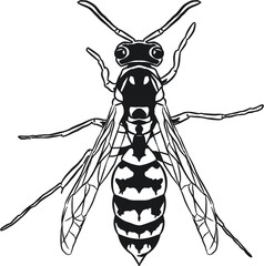 Bee illustration 2