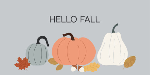 Autumn flat banner. Hello fall. Various pumpkins and leaves on a gray background. Seasonal background. Autumn vegetables and maple leaf, oak leaf, acorn. Harvest festival.