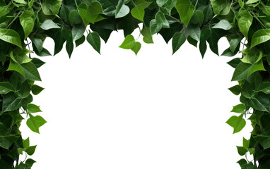 Obraz premium green leaves vines frame or border, generative ai