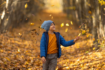 Happy little boy has fun in beautiful autumn park on warm sunny fall day. Child plays with golden maple leaves. Autumn foliage. Sun rays through the trees