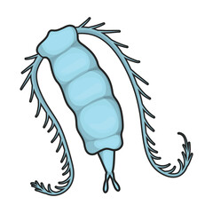 Plankton vector icon.Color vector icon isolated on white background plankton.