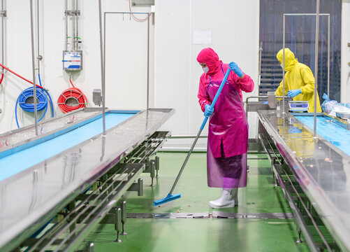 Hygiene Worker Cleaning Floor In Production Line Of Food Processing Plant.